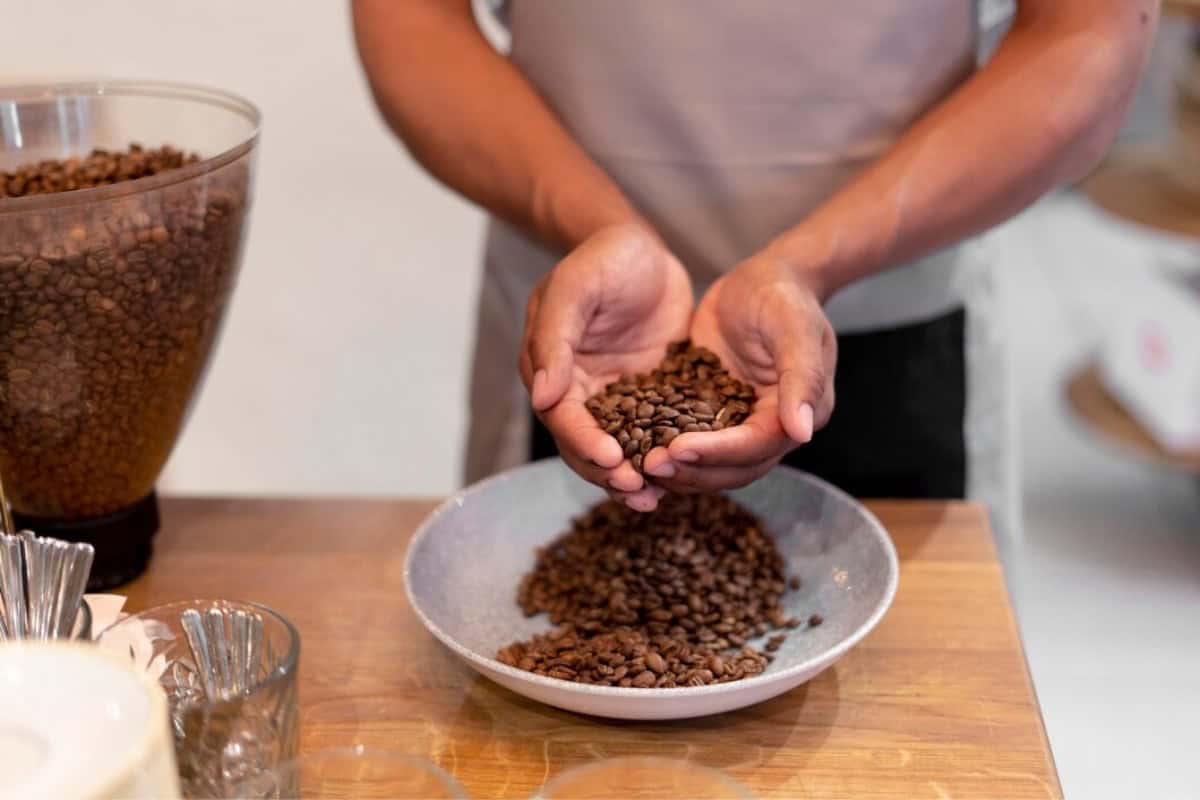 Veja tudo sobre o café especial torra média 