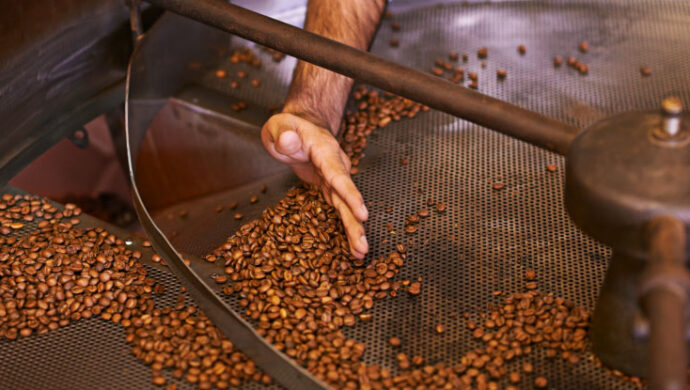 mãos peneirando grãos de café