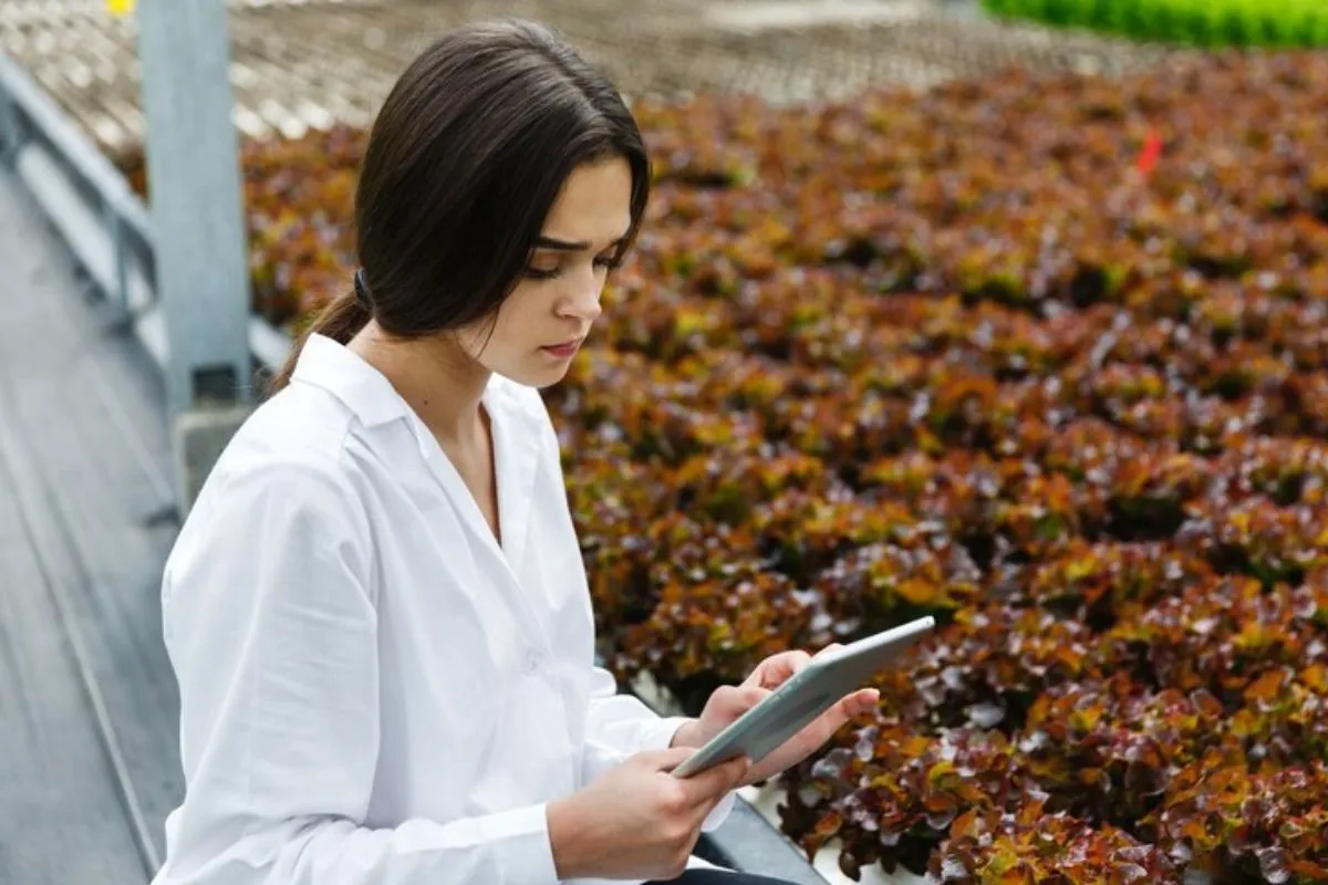 Mulher segurando tablet em meio à plantação representando tecnologias em cultivo.