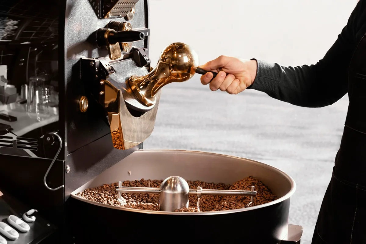  Máquina de torrefação de café com detalhes dourados em uso, enquanto uma mão manuseia a alavanca para liberar os grãos torrados em um tambor.