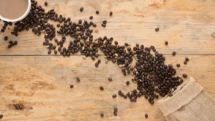 Grãos de café espalhados em uma mesa de madeira, saindo de um saco de juta com uma xícara de café ao fundo.