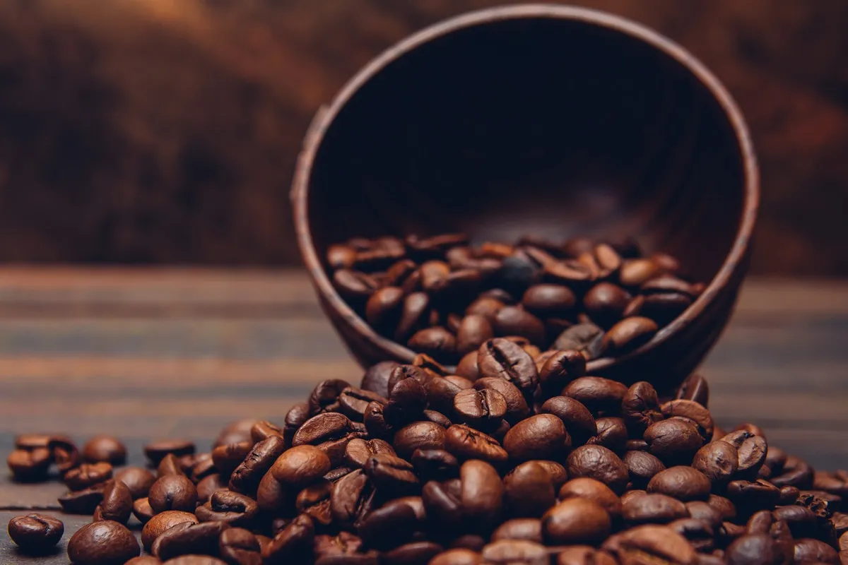 Grãos de café robusta escuros e brilhantes derramados de uma tigela de madeira sobre superfície rústica.