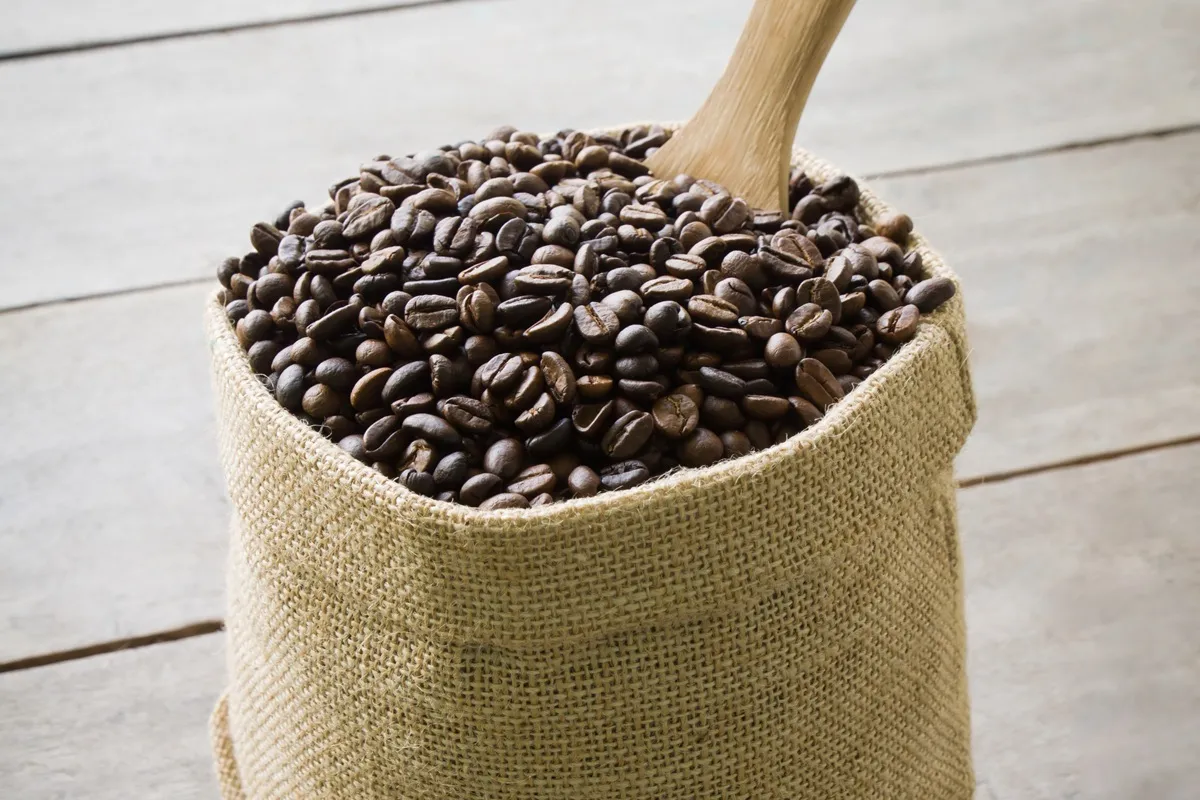 Saco de juta cheio de grãos de café torrado com colher de madeira sobre fundo rústico de madeira clara.