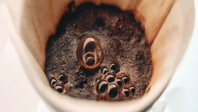 Foto de perto da superfície de café moído no processo de "blooming", mostrando bolhas grandes e brilhantes em um filtro de papel.